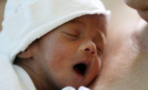 Universidade de Coimbra vai estudar o desenvolvimento do cérebro dos bebés