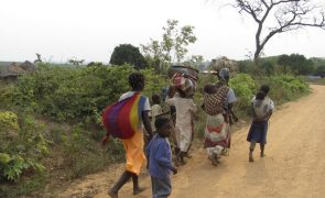 Metade das deslocações forçadas em todo o mundo vão ocorrer em África