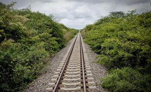 Caminho de ferro de Luanda retoma circulação para Luinha após suspensão devido à cólera