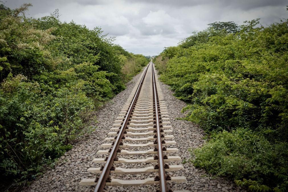 Caminho de ferro de Luanda retoma circulação para Luinha após suspensão devido à cólera