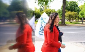 PAN desvaloriza sondagens e quer chegar aos eleitores 