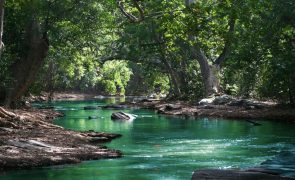 Como Mértola inverteu a desertificação e restaurou a natureza com o apoio de todos