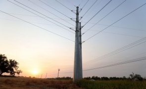 Eurodeputados pedem reforma das redes elétricas da UE após 