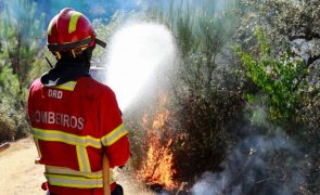 Bombeiros até aos 50 anos passam a poder integrar Equipas de Intervenção Permanente