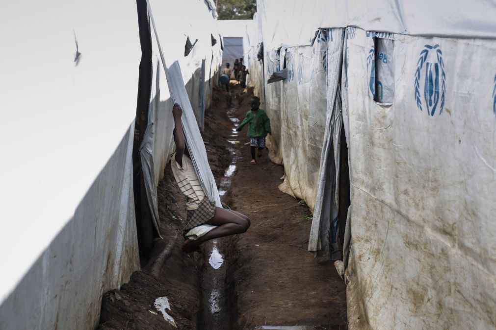Angola e RDCongo analisam regresso de refugiados congoleses