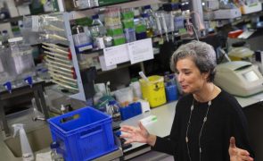 Descoberta de tratamento oral de cancro na Fundação GIMM leva a acordo internacional