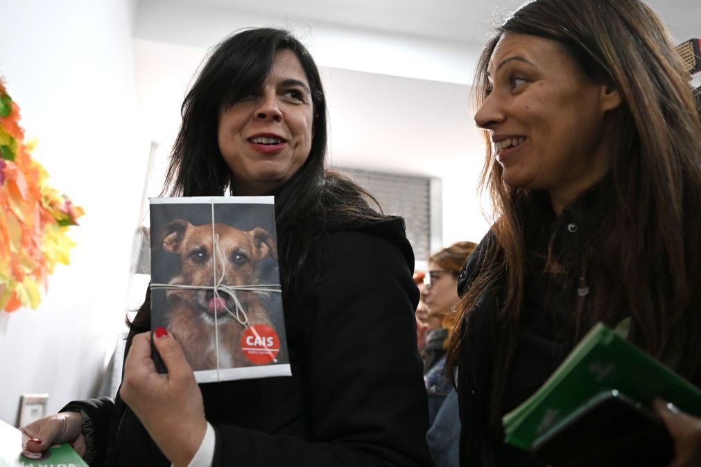 Membros da direção do PAN apresentam demissão em desacordo com liderança de Sousa Real