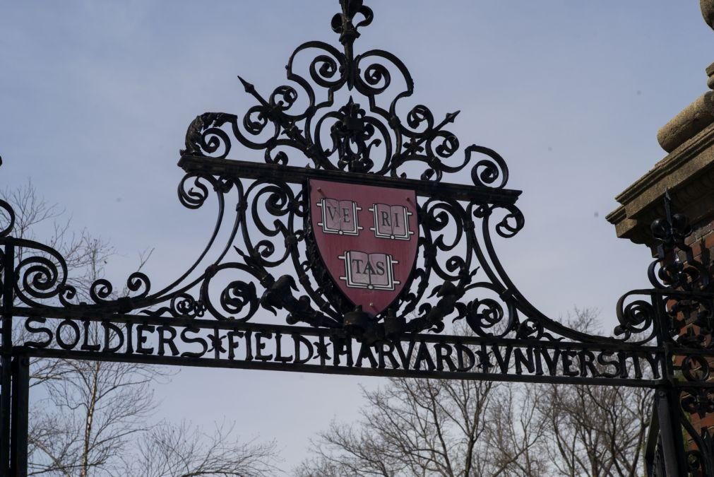 Juíza federal bloqueia decisão de Trump sobre recusa de alunos estrangeiros em Harvard