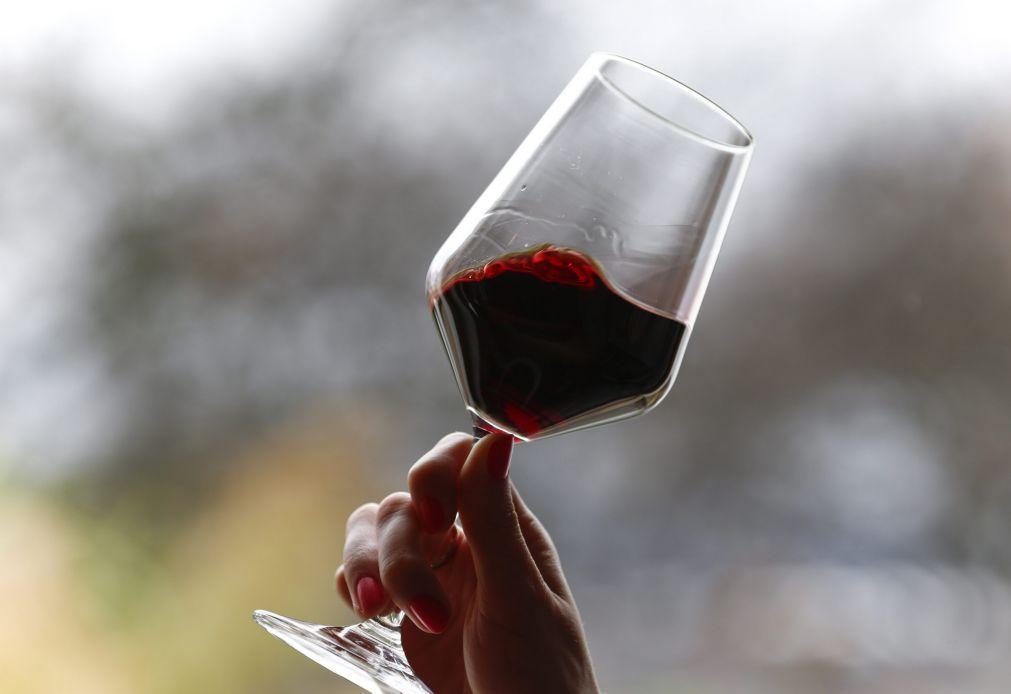Região do Baixo Alentejo ganha título de Cidade Europeia do Vinho 2026