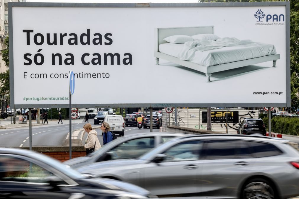 Moedas quer retirar cartazes políticos de 