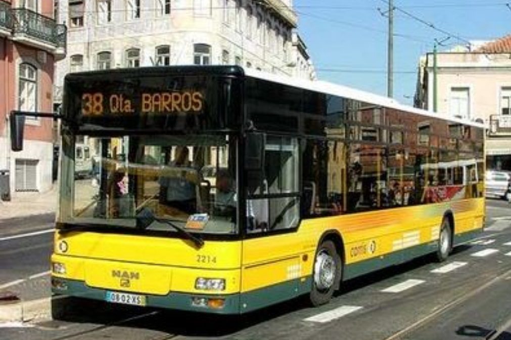 As novas 23 linhas de autocarros da Carris em Lisboa