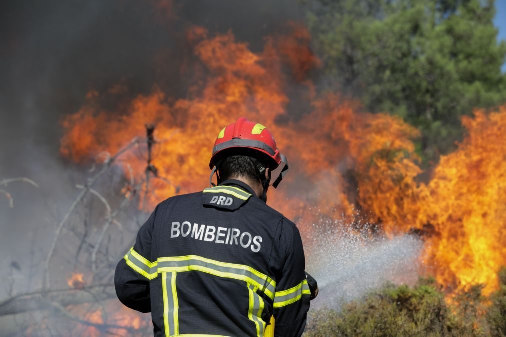 Incêndio em fábrica de Anadia considerado extinto perto da meia-noite de sábado