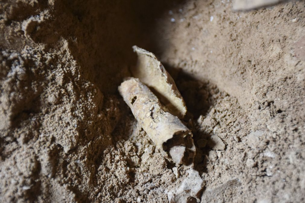 Investigadores decifram pergaminho do Mar Morto por interpretar há 50 anos