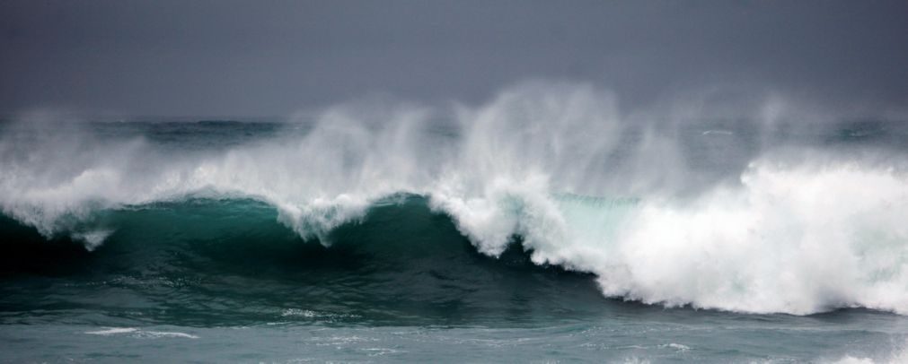 Portugueses preocupados com oceanos mas pouco conhecedores
