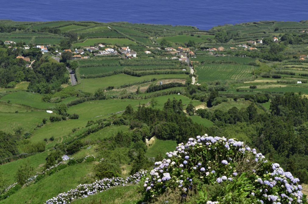 Atividade sísmica nos Açores continua com tendência decrescente