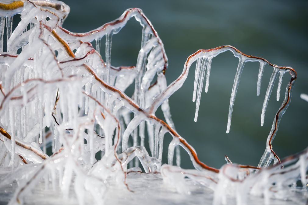 Vaga de frio da Sibéria já matou quase 50 pessoas na Europa