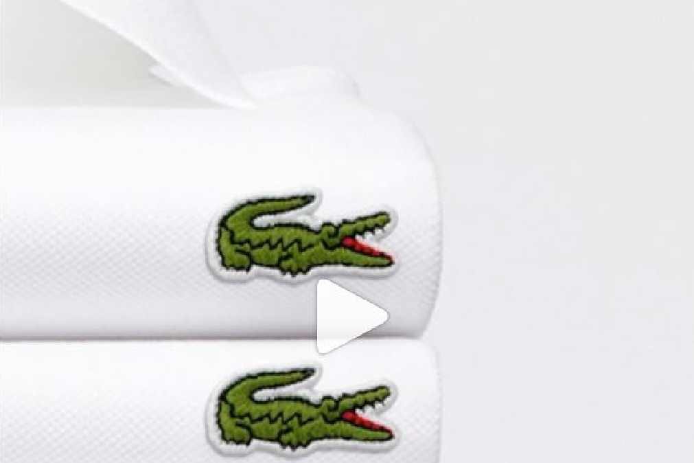 Crocodilo da Lacoste fugiu?