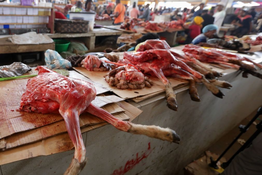Moçambique apreende 14 mil toneladas de carne suspeita de propagar listeriose