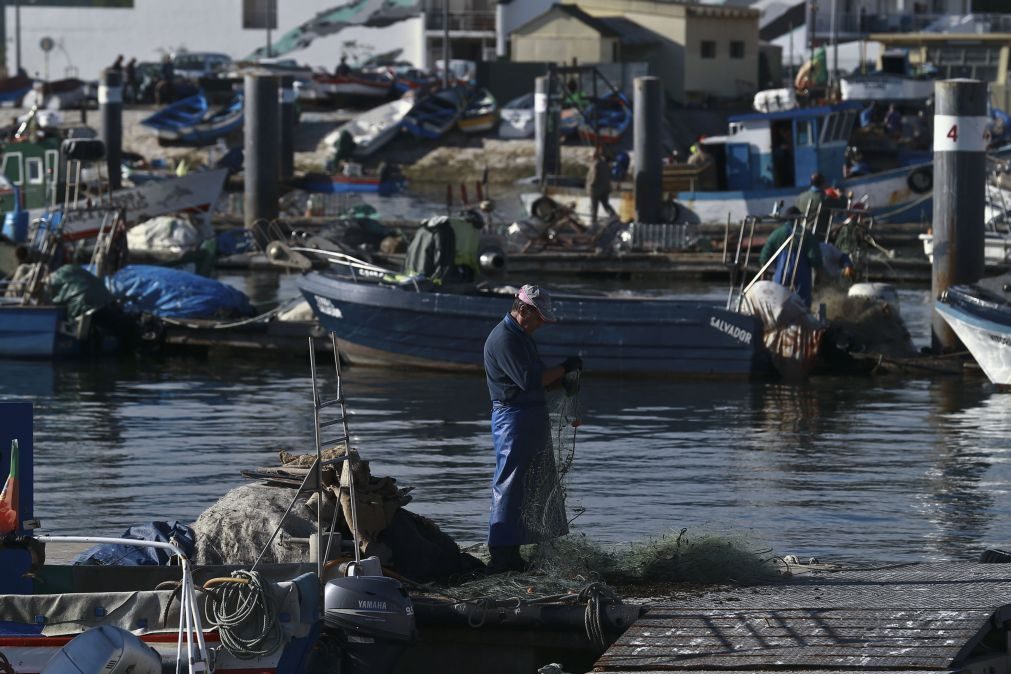 Pescadores dos Açores vão receber meio milhão de euros para abandonar atividade
