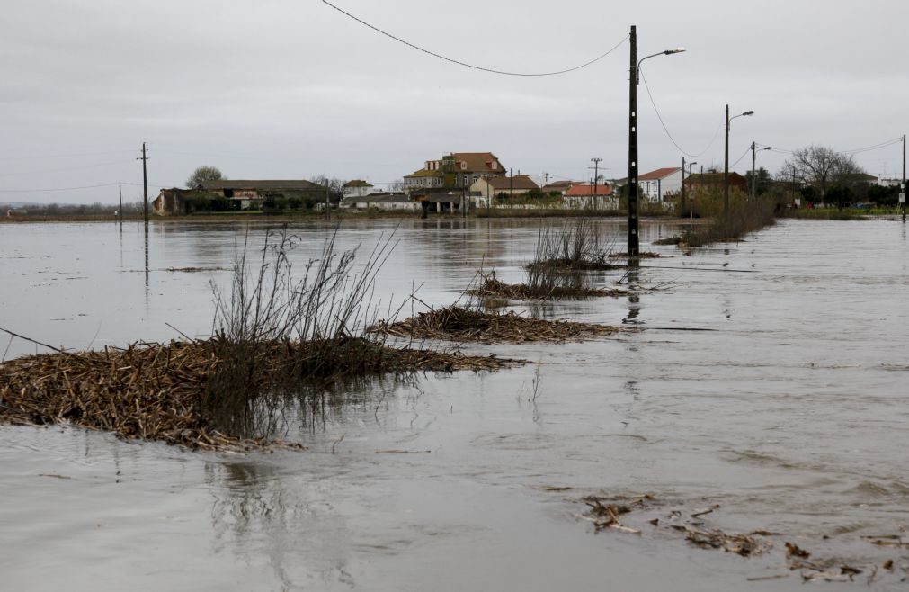 Prevista «pequena subida» da água na bacia do Tejo devido ao mau tempo