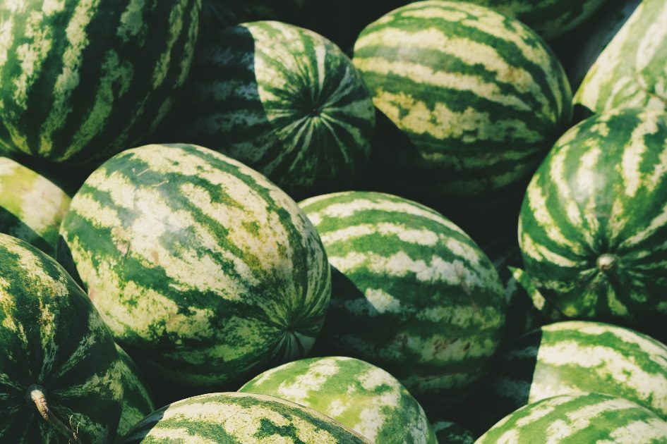Cinco pessoas morreram após comerem melão