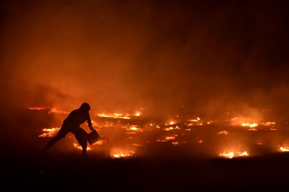 Populações «entregues a si próprias» e em «dramático abandono» nos fogos de outubro
