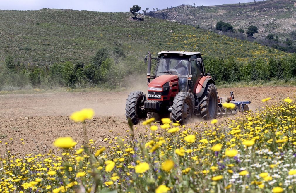 Montemor-o-Velho: Homem morre após acidente com máquina agrícola