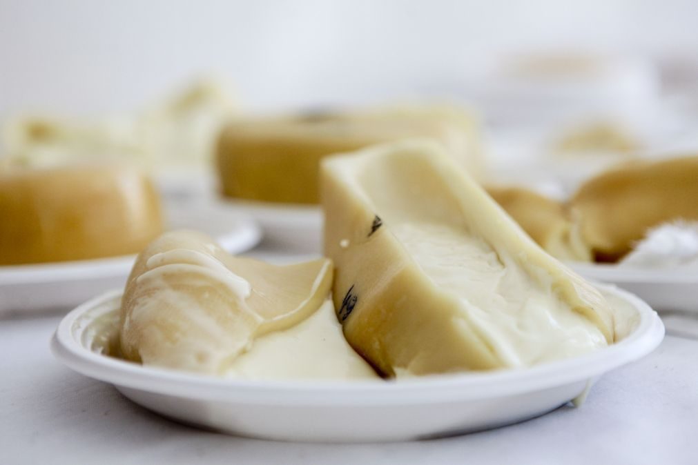 ASAE apreende queijo da Serra da Estrela «falso» no valor de 1.200 euros