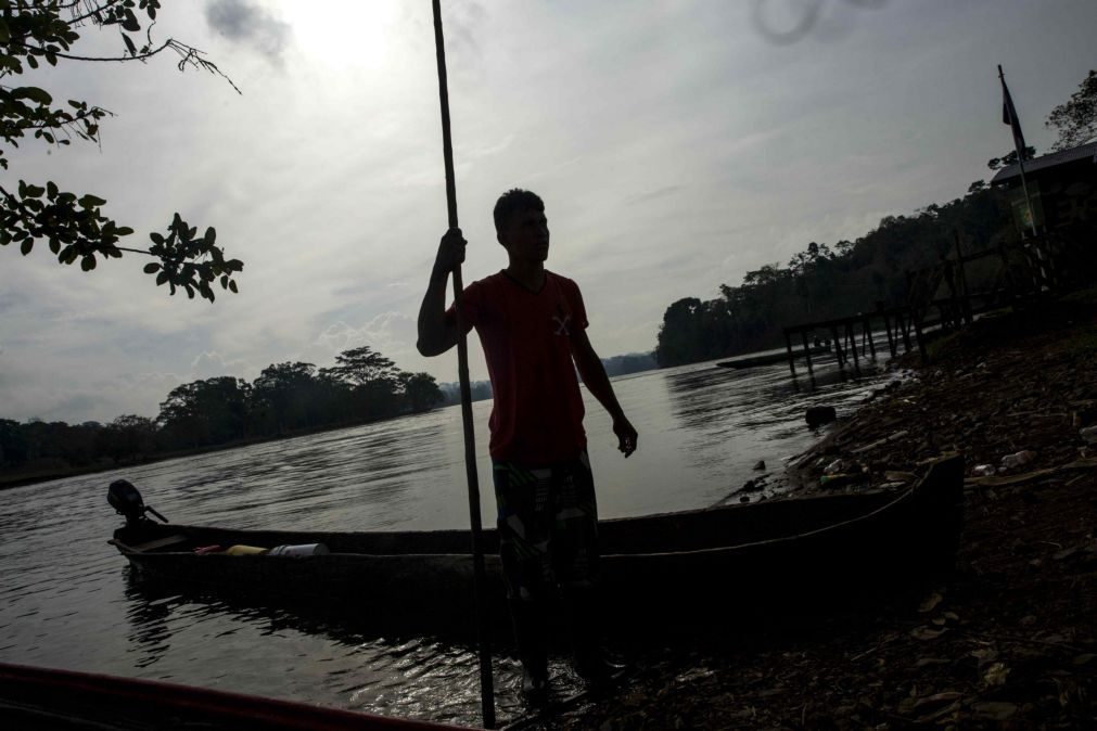 Um milhão de indígenas procuram alternativas para sobreviver no Brasil