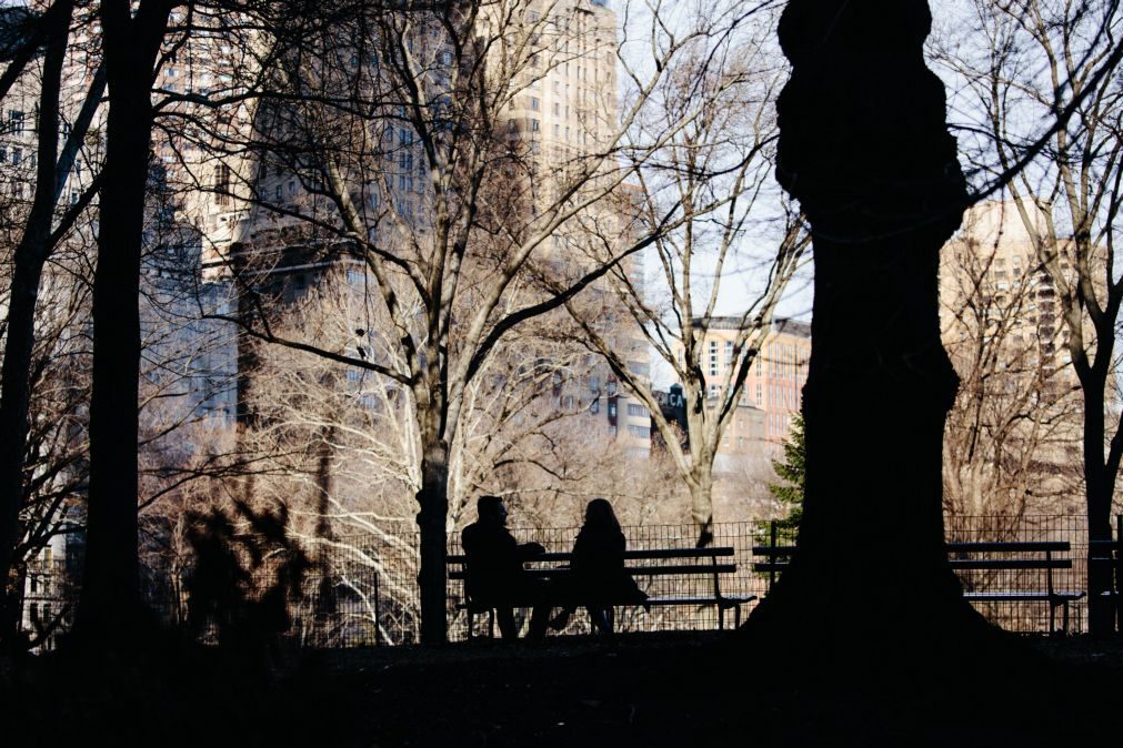 Cidade de Nova Iorque proíbe veículos no Central Park