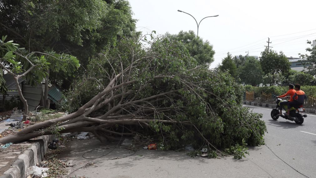 Chuva e vento na Índia causam 42 mortos e 47 feridos em menos de 24 horas