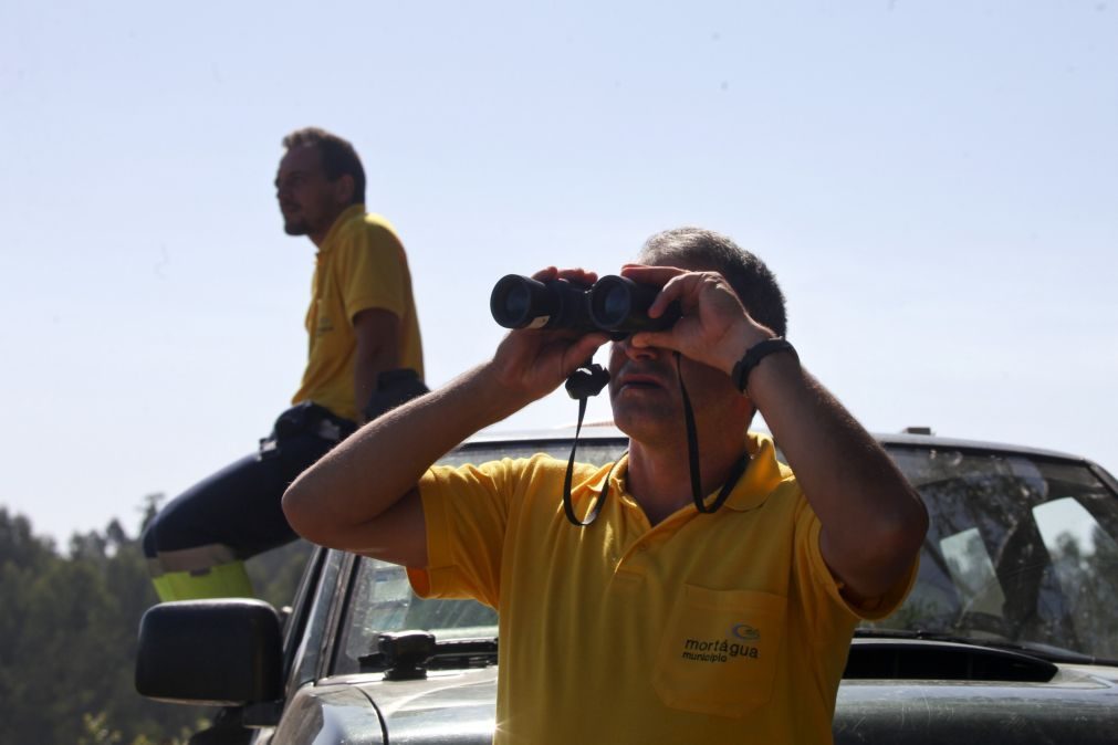 Esta à procura de trabalho? Abertas 90 vagas para vigilantes da natureza contra fogos