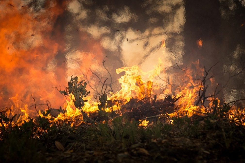 ÚLTIMA HORA: Incêndio em Castelo Branco está a ser combatido por 8 meios aéreos