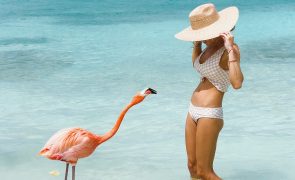 Nesta praia pode tomar banho com flamingos e é um sonho para o Instagram