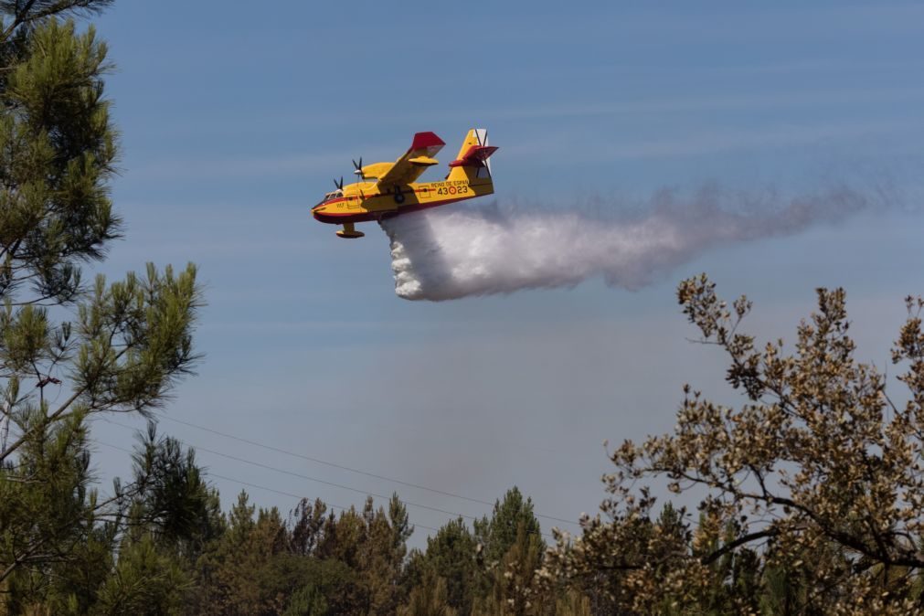 Tribunal de Contas autoriza Governo a contratar 12 aviões de combate a incêndios
