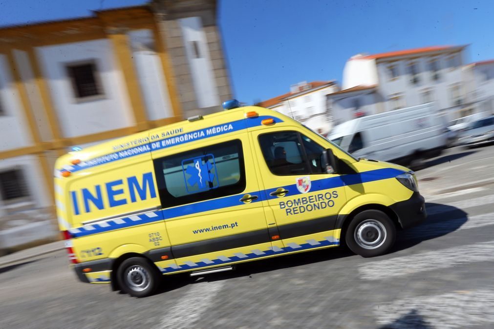 Homem morre atropelado na EN205