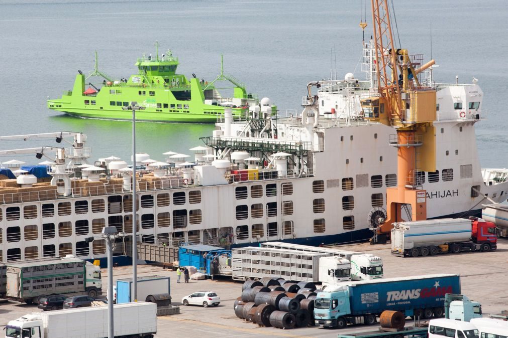 Greve dos estivadores de Setúbal: Adesão é de 100%, diz sindicato