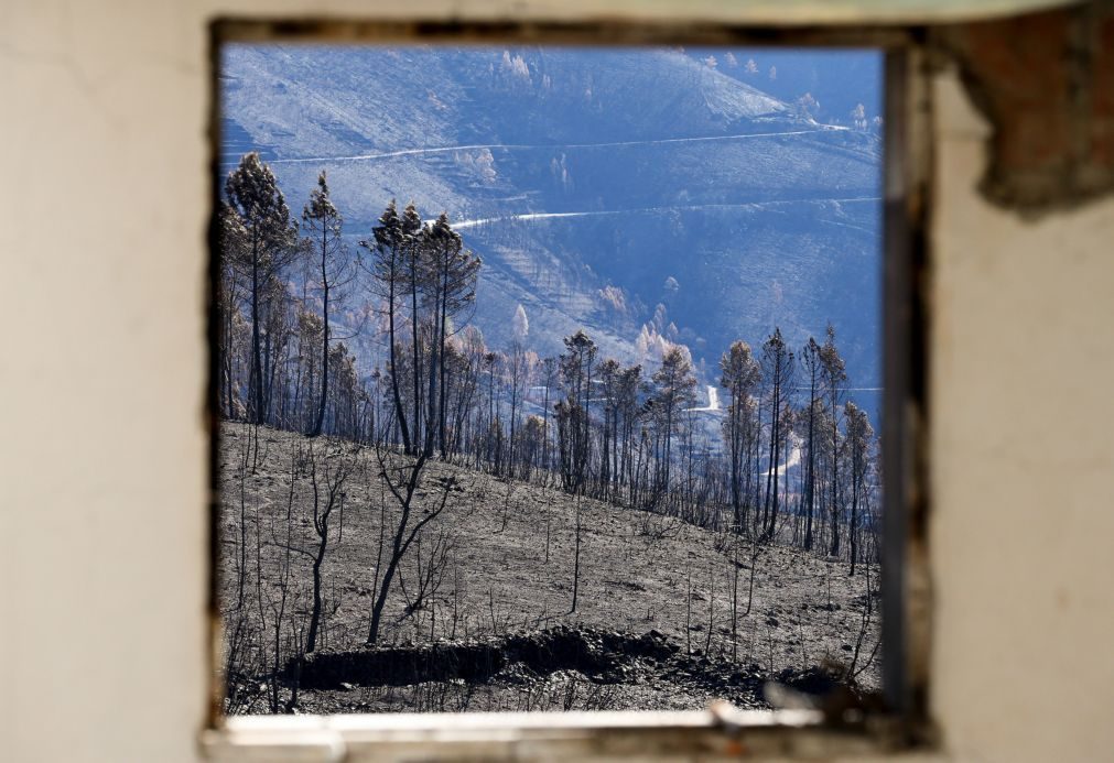 Número de mortos dos incêndios de outubro subiu para 50