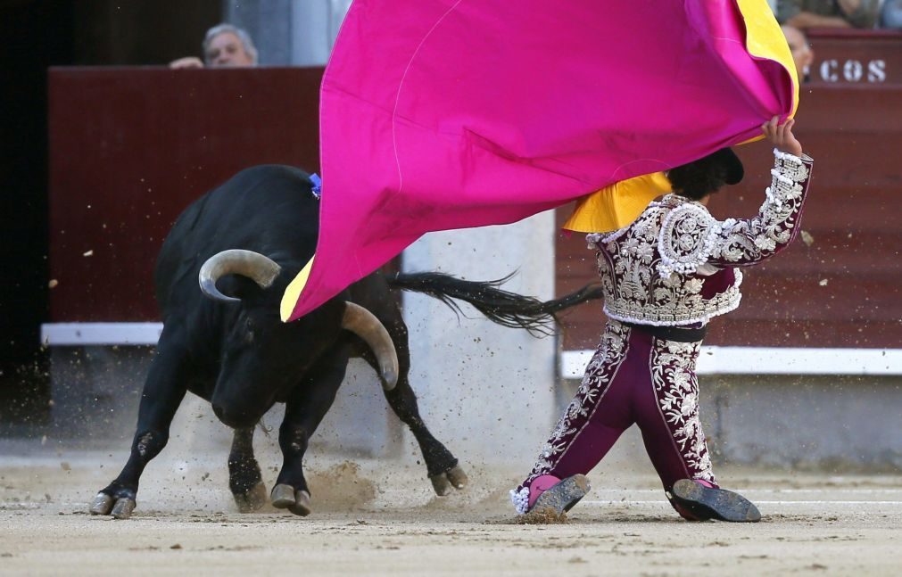 Dois forcados e dois cavaleiros colhidos na corrida mista de Coruche