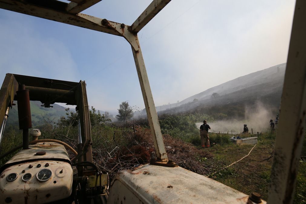 Inglaterra: Mais de 50 casas evacuadas devido a incêndio