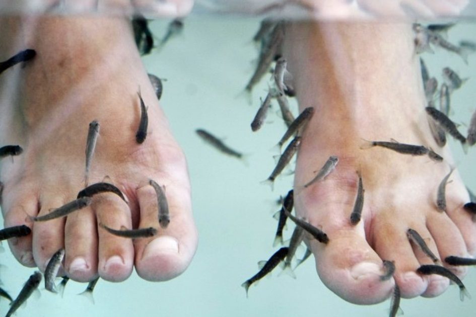 ALERTA | Mulher perde unhas dos pés devido a pedicure com peixes