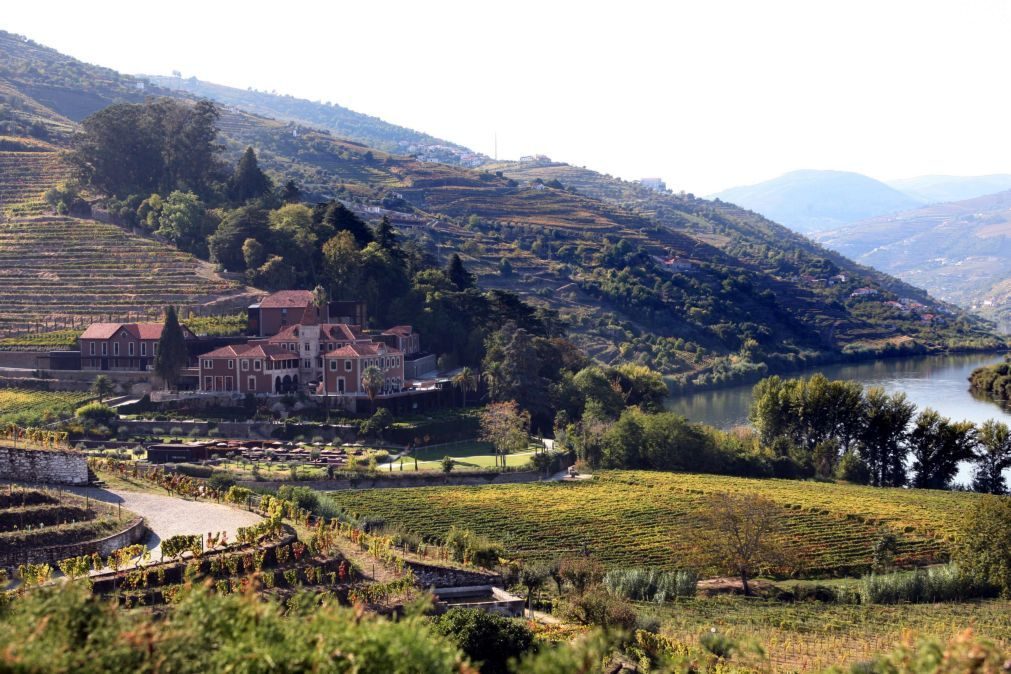 Mudanças climáticas afetarão produção de vinho no Douro