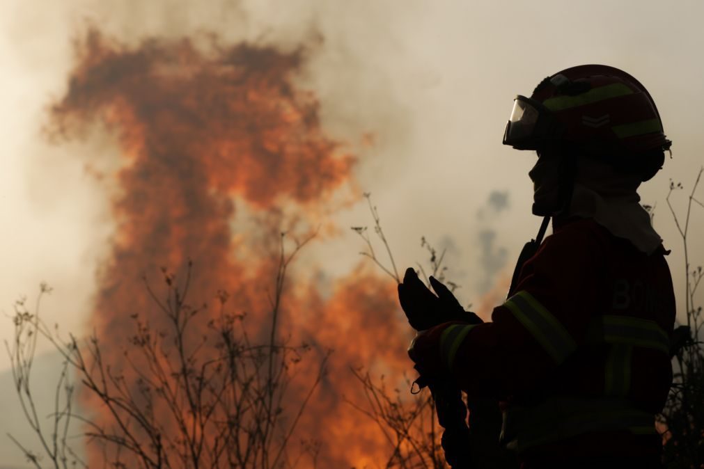 ALERTA | Incêndio obriga a evacuação de Portela do Vento