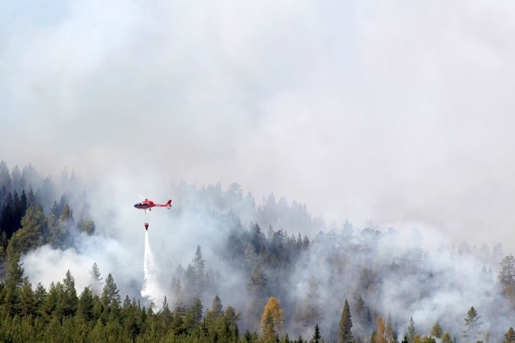 Suécia pede ajuda à União Europeia para combater fogos florestais