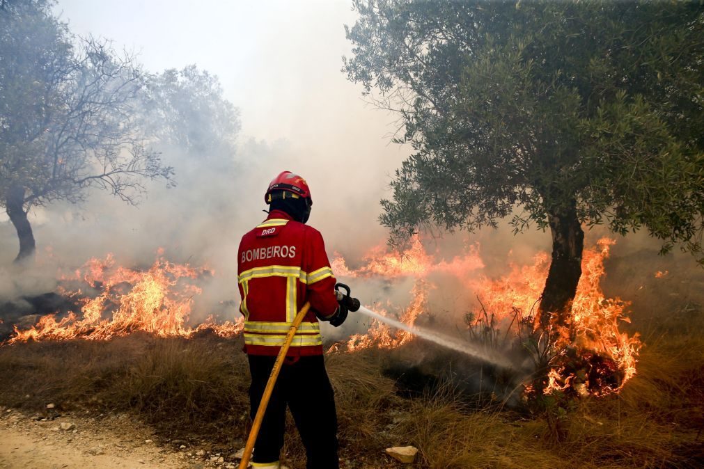 ÚLTIMA HORA: Três bombeiros feridos em incêndios em Santarém