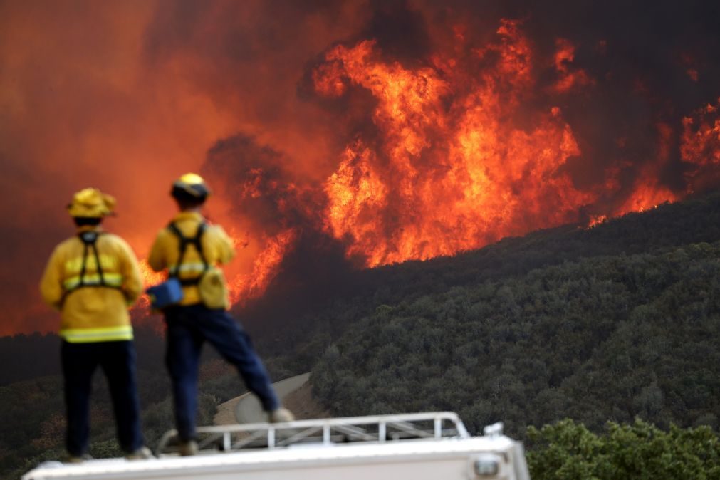 Incêndio no norte da Califórnia já destruiu mais de mil habitações