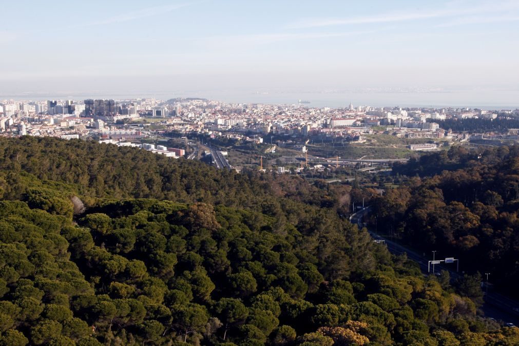 ALERTA | Saiba os locais que podem ser um risco para a sua saúde em Lisboa