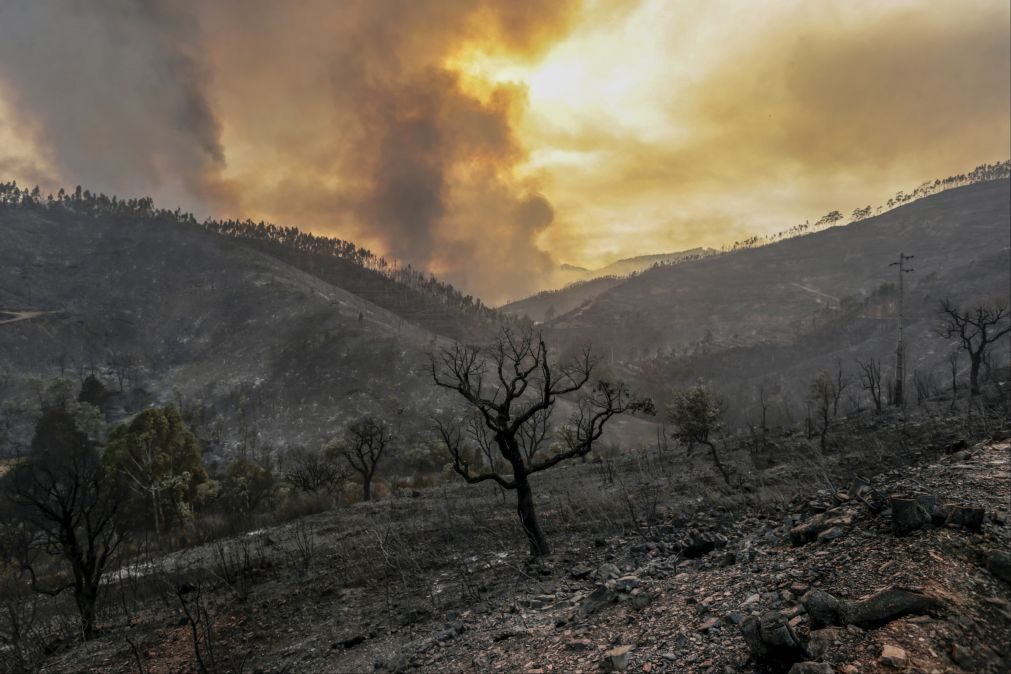 ALERTA | Aldeia de Fóia evacuada devido a incêndio