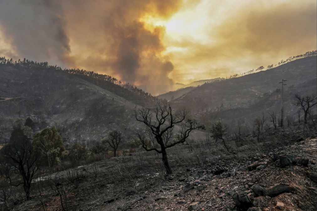 Última Hora: Frente ativa em direção a Monchique sem acessos para meios de combate ao incêndio