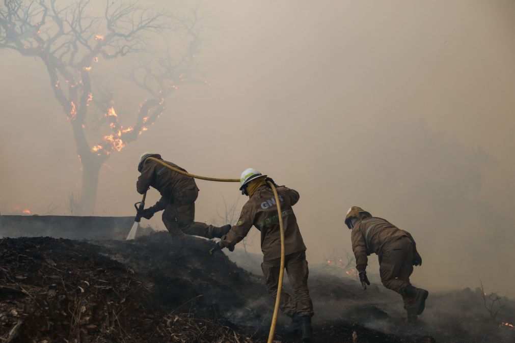 Fogo em Monchique voltou a agravar-se e operação é